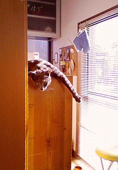 気づいたら泣いてた。