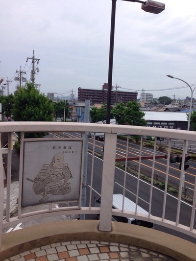 迷いマイマイ６月の蝸牛。