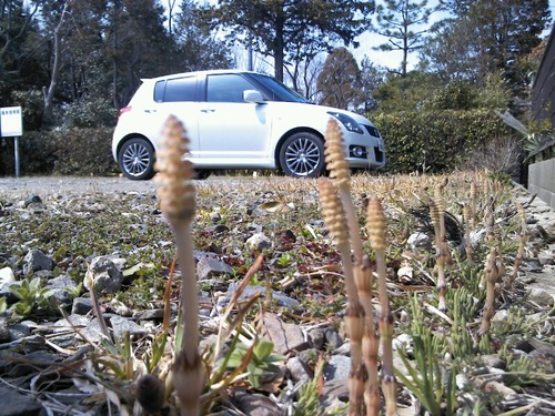 以外と見ていない足もと。