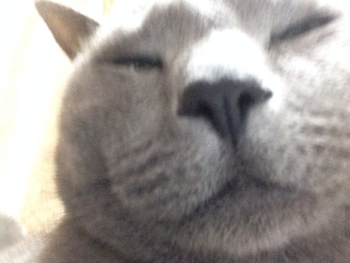 自分撮りモード。