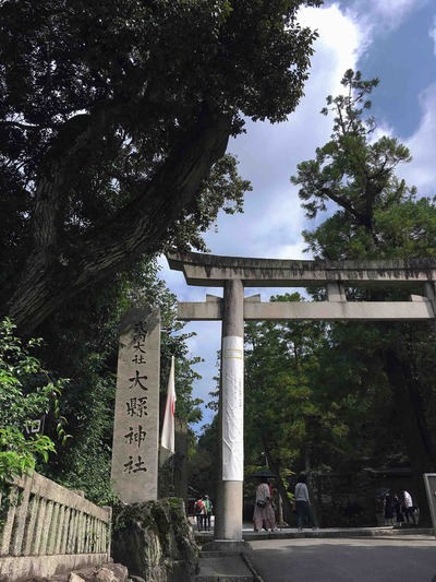 良い日でした。