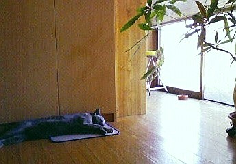 真実の自己、インナーチャイルド？