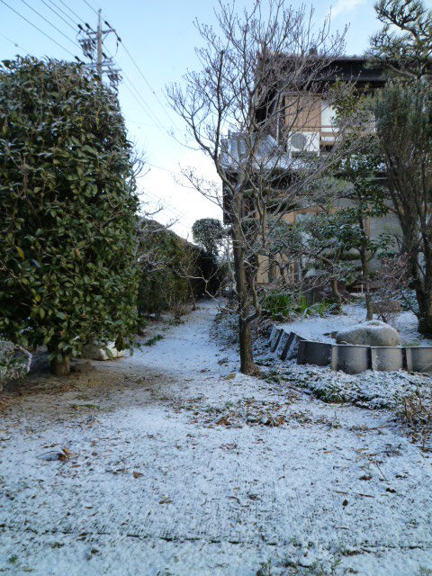 けっこう積もりましたね。