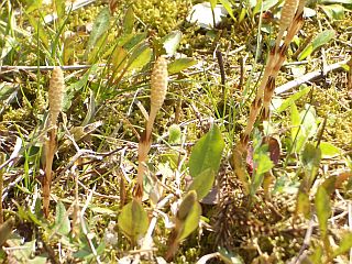 みんなちがってみんないい。