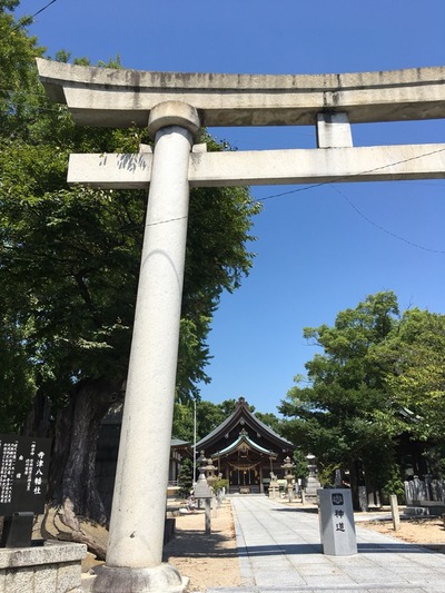 今日のぶらり。