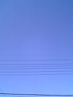 音楽って誰かとハモりたいこと。