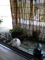 光と影の季節です。