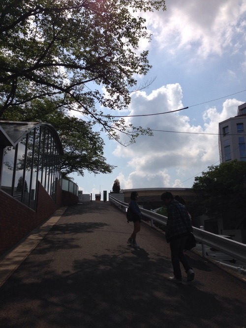 寝ても覚めても鯨問題。