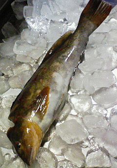 海が気持ちよい季節。