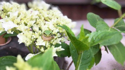 今日のストーリーズ。
