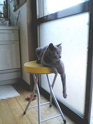 お気に入りの場所。