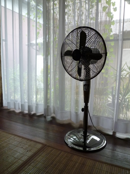 機能重視？デザイン重視？