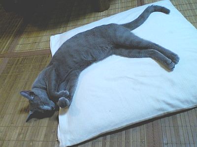 確かなものは風の中。