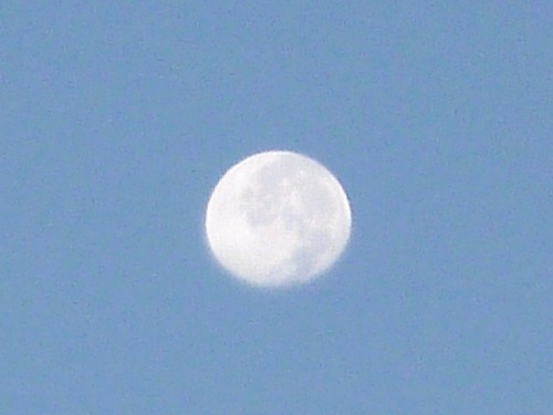 写真も楽しむ。
