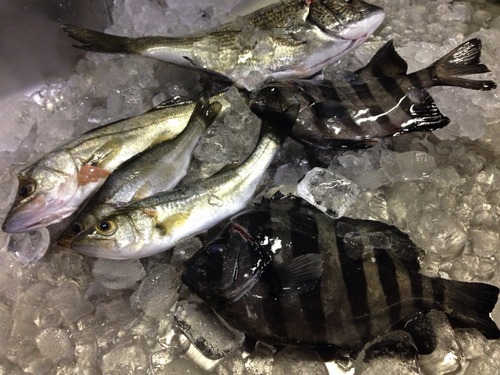 なるべくスローフード。