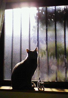 衝動買いしました。