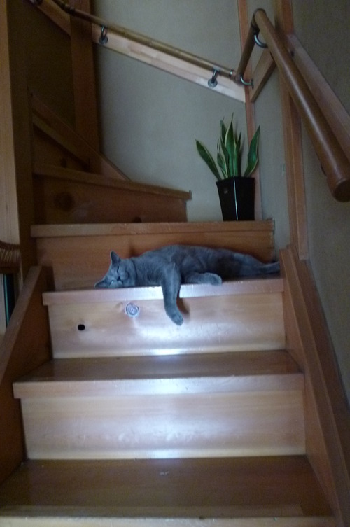 残暑お見舞い申し上げます。