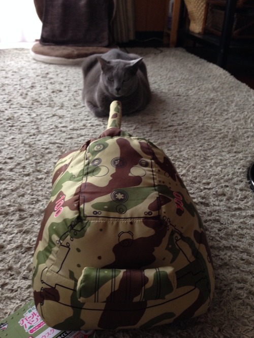 マウスVSネコさん。