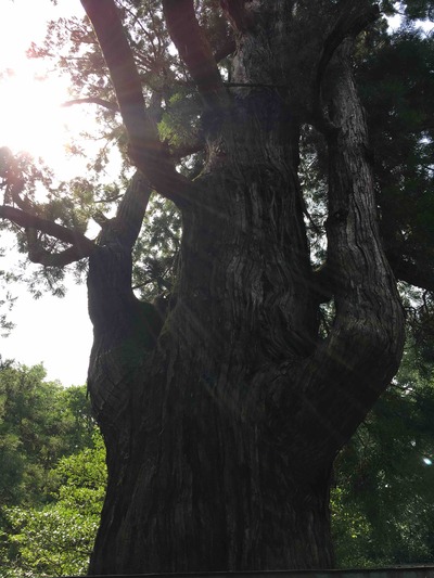 ぷらっと旅、若狭国から近江国を抜けて。