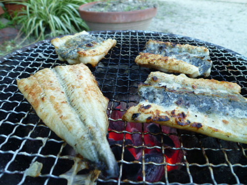 元気出していきましょ。