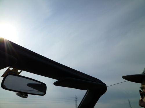 猫好きな人は猫から嫌われるらしい。