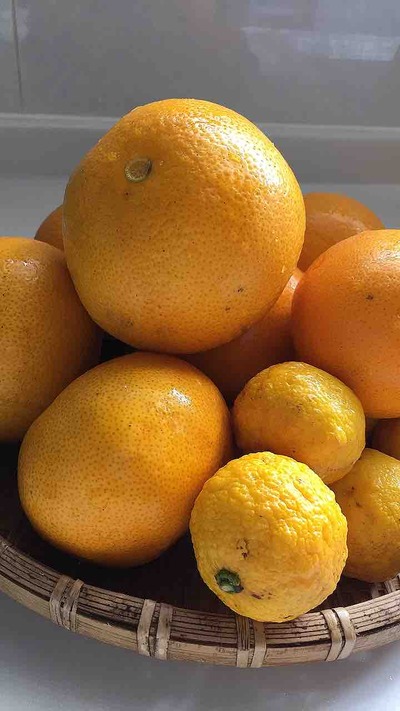 オレンジなある日。