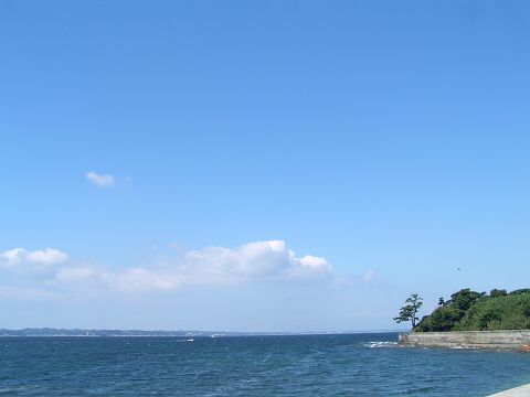 ニャーゴ島オフ。