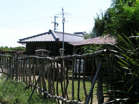 にゃーご島オフ２。