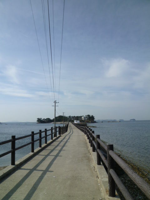 春の佐久島へ渡りました３。