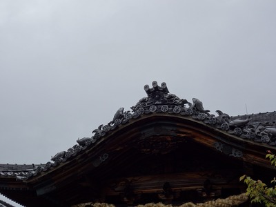 もっと知りたいな岡崎。