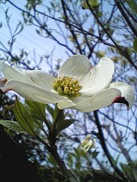 大好きだから守りたいよ。