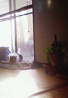 （´・ω・｀）。