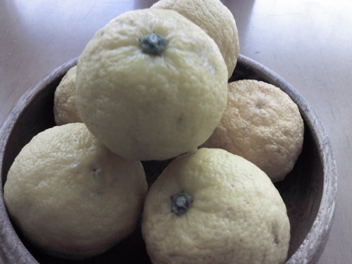 冬至でしたね。