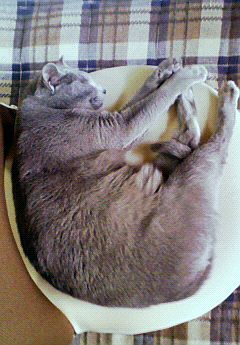 幸せのロシアンスマイル。