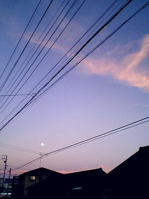 そんなもんです。