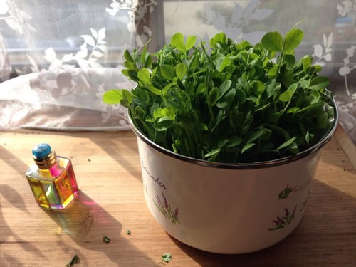 マメに生きよう。