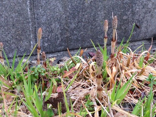 祝福の雨が降っている。