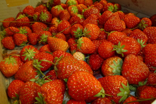 スローフードを楽しむ。