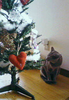 サンタさんごくろうさま。