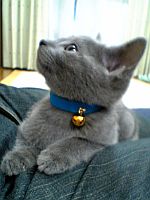 アメージング。