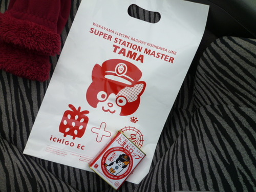 鉄じゃなイカ？