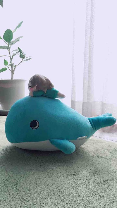 たいへんよく眠れました。