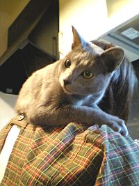 されるがまま。