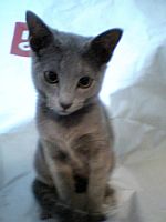 らぶandぴーす。