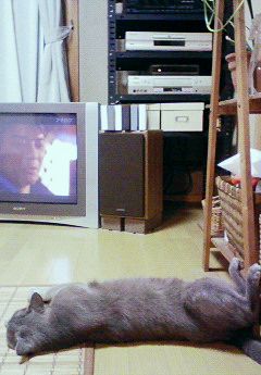 わかりやすい。