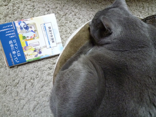 切符は目的地まで買いましょう。