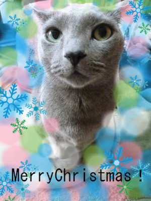 よいクリスマスを。