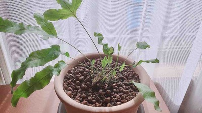 うれしかったこと。