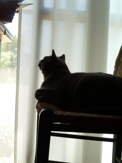 新しい世界へ。