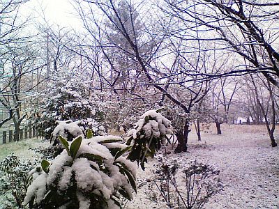 消えてしまうもの。